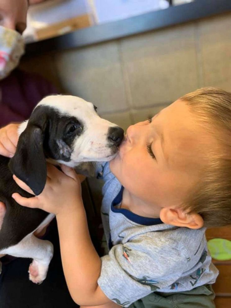 PHOTO: Bentley Boyers, 2, is seen kissing his newly adopted rescue puppy, Lacey, on Sept. 4, 2020 at Jackson County Animal Shelter in Jackson County, Michigan. Both Bentley and Lacey were born with a cleft lip.
