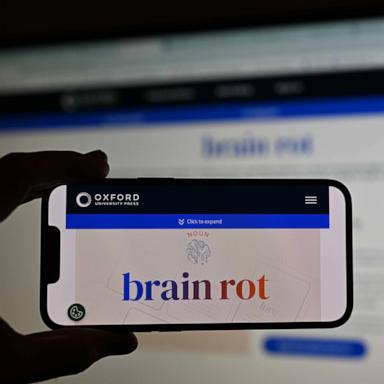 PHOTO: A man holds a phone, displaying word of ''brain rot'', as the Oxford Dictionary has chosen the word, which refers to the unnecessary and entertaining use of social media, as the word of the year in London, Dec. 2, 2024.