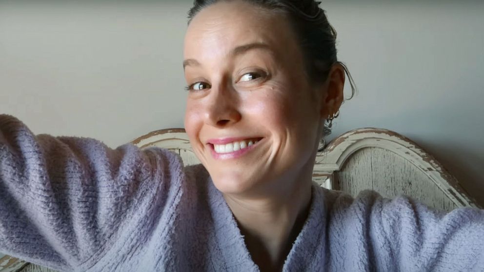 Brie Larson Animal Crossing: New Horizons Interview and Island Tour