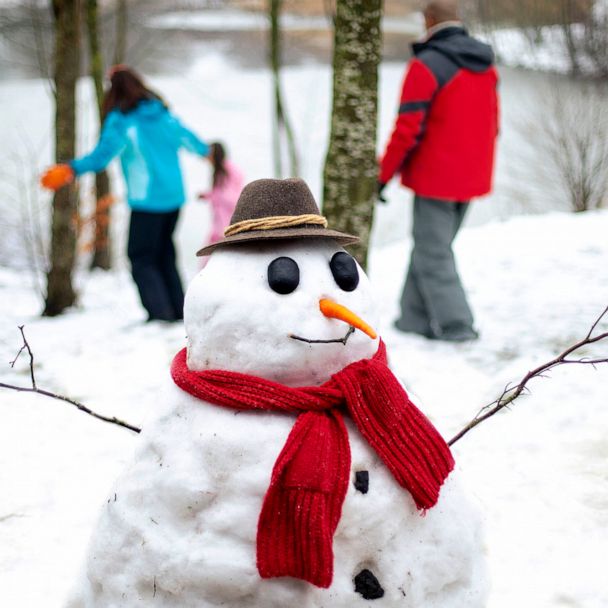 51 Melting Snowman High Res Illustrations - Getty Images