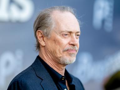 Steve Buscemi OK after being punched in face in NYC