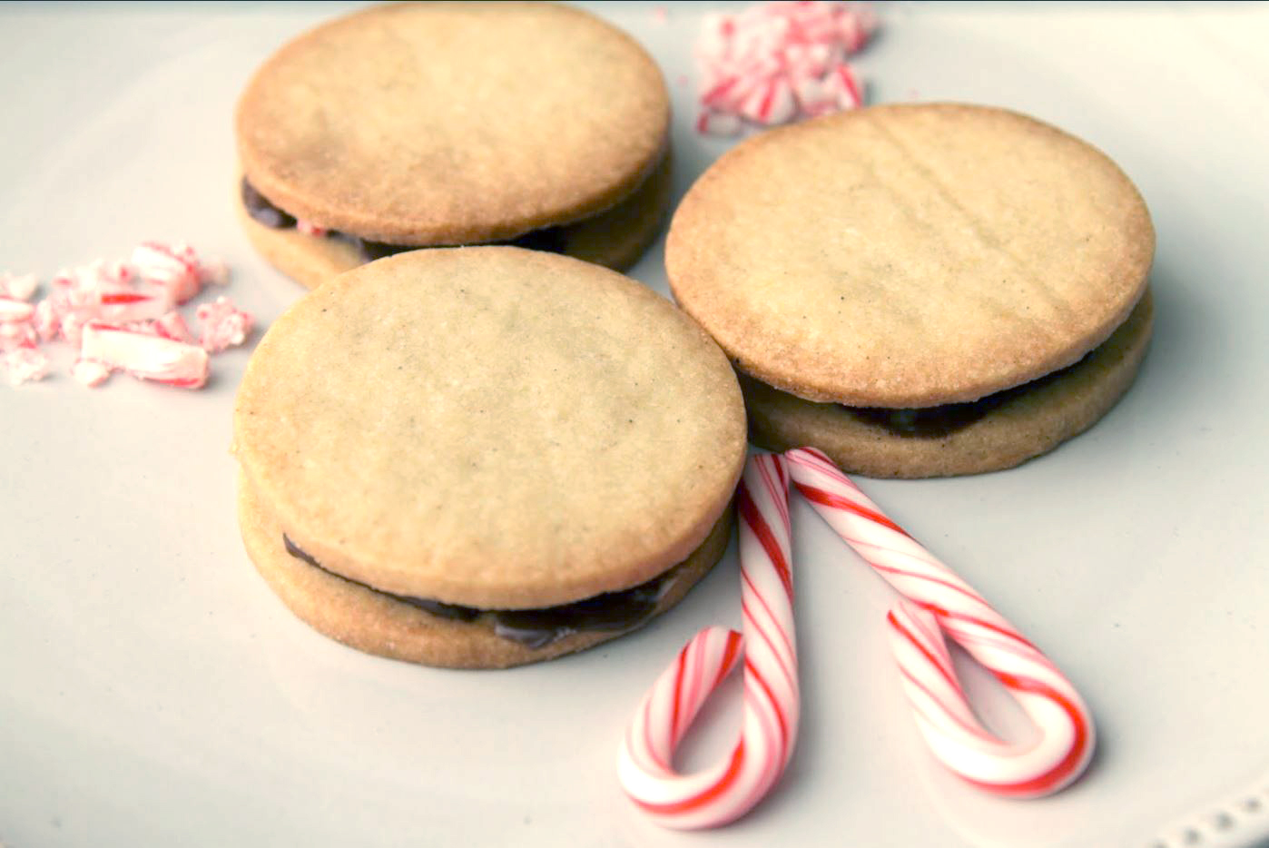 PHOTO: Alex Guarnaschelli's shares her Buttery Candy Cane Sandwiches for the "GMA" 25 Days of Cookies series. 