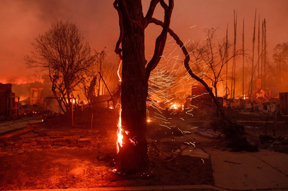 PHOTO: Embers are blown off a burning tree as the Eaton Fire burns in Altadena, Calif., Jan. 8, 2025.