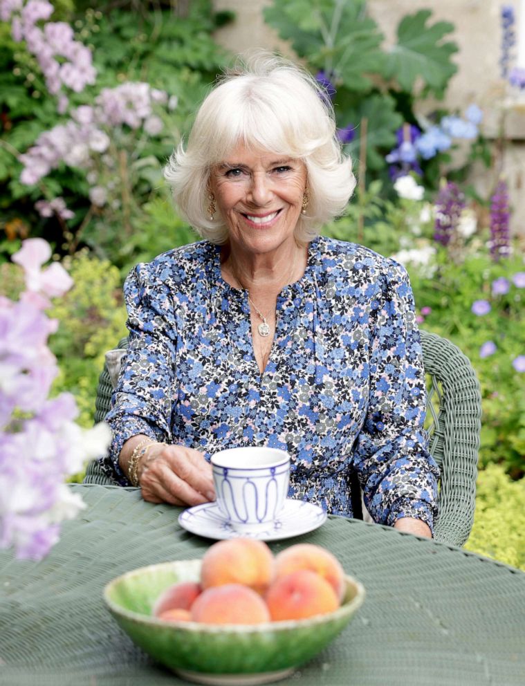 Camilla The Duchess Of Cornwall Marks 75th Birthday With New Portrait See The Photo Good