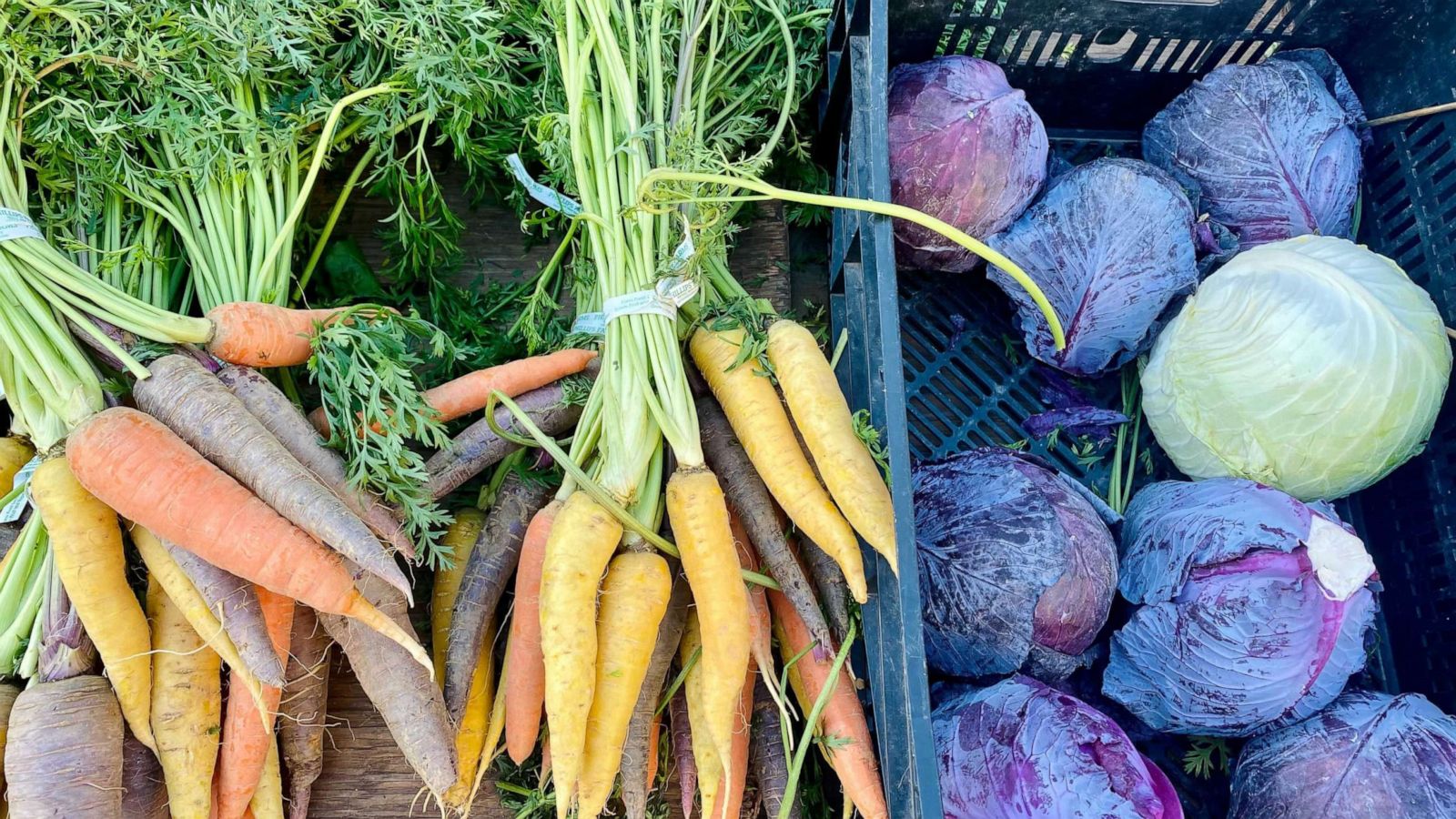 PHOTO: Fresh vegetables at the Union Square Greenmarket.