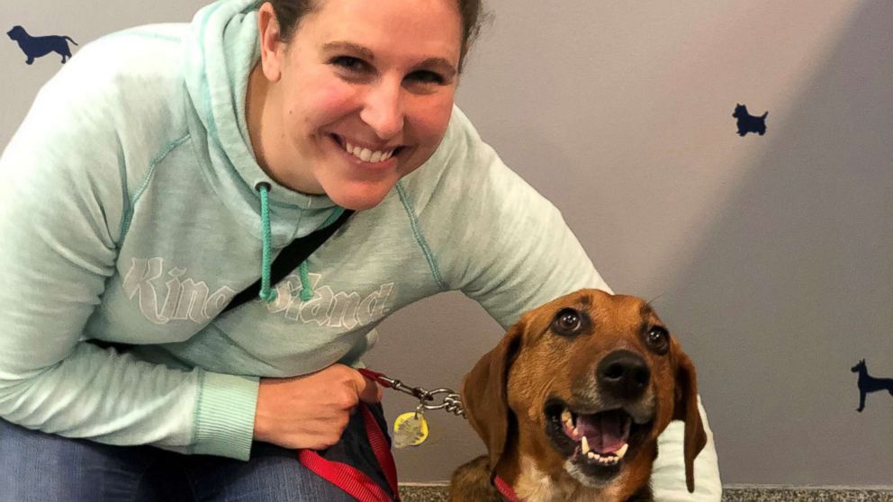Dog finds forever home after 525 days in the shelter - ABC News