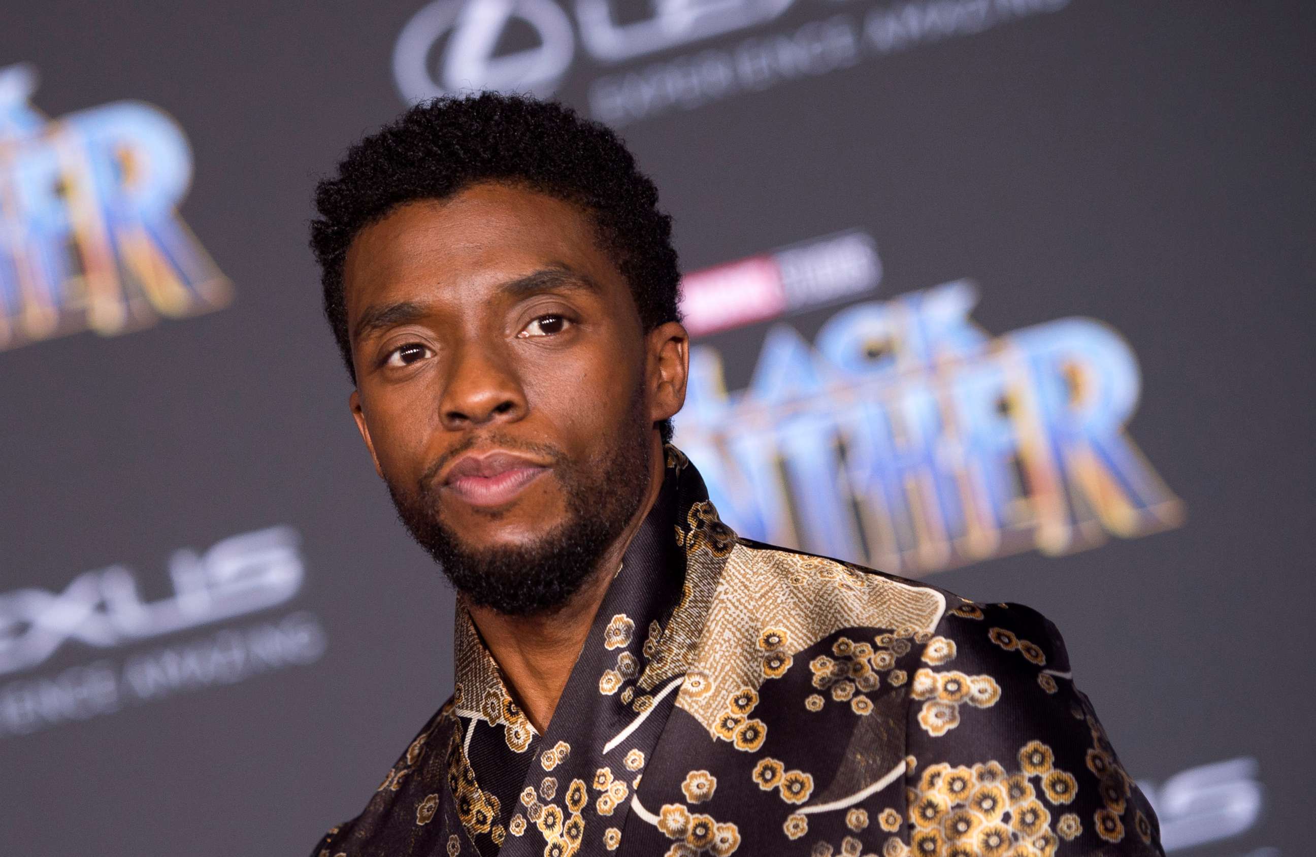 PHOTO: In this file photo taken on Jan. 29, 2018, actor Chadwick Boseman attends the world premiere of Marvel Studios "Black Panther," in Hollywood.