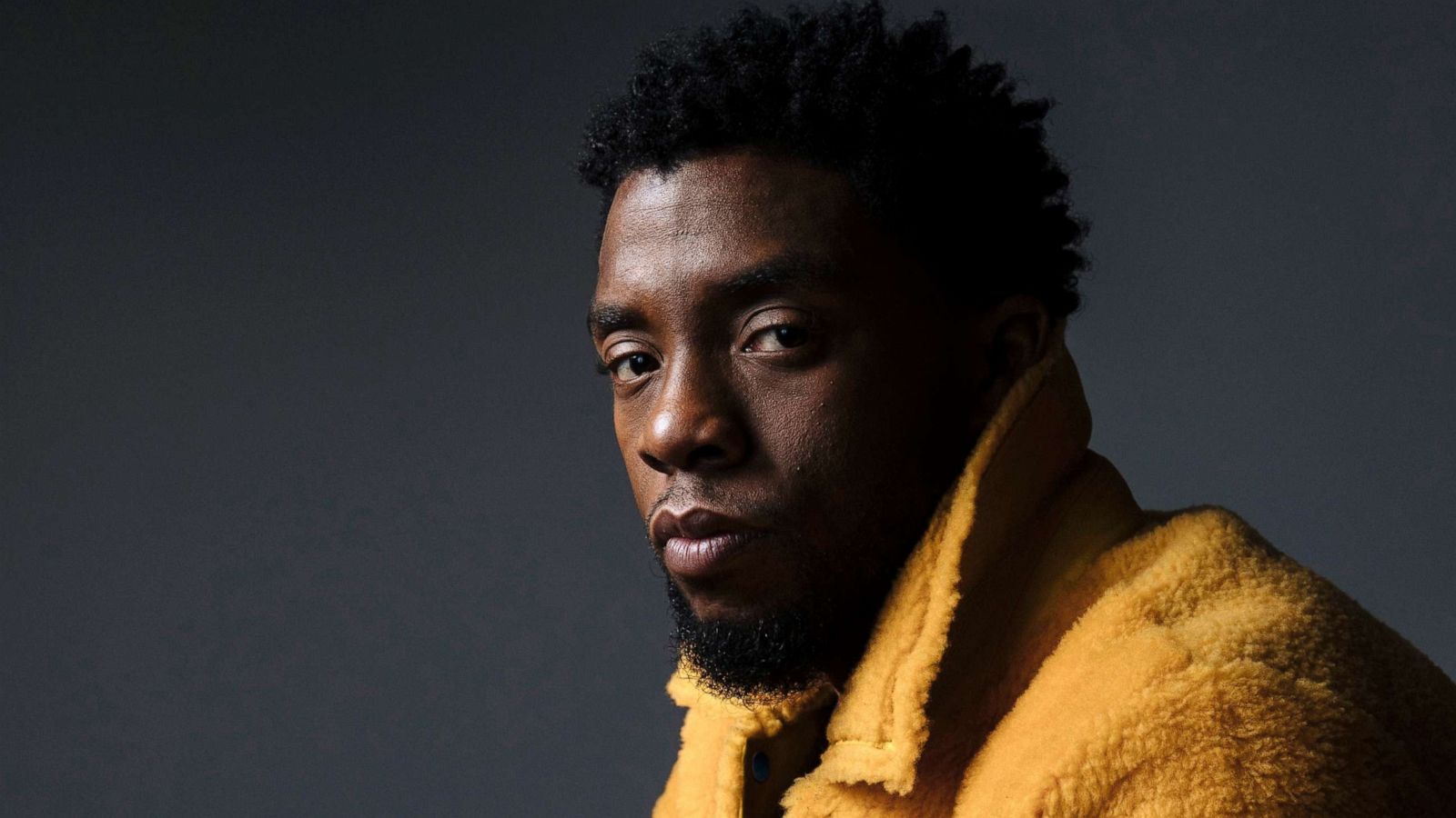 PHOTO: Chadwick Boseman poses for a portrait in New York to promote his film, "Black Panther," Feb. 14, 2018.