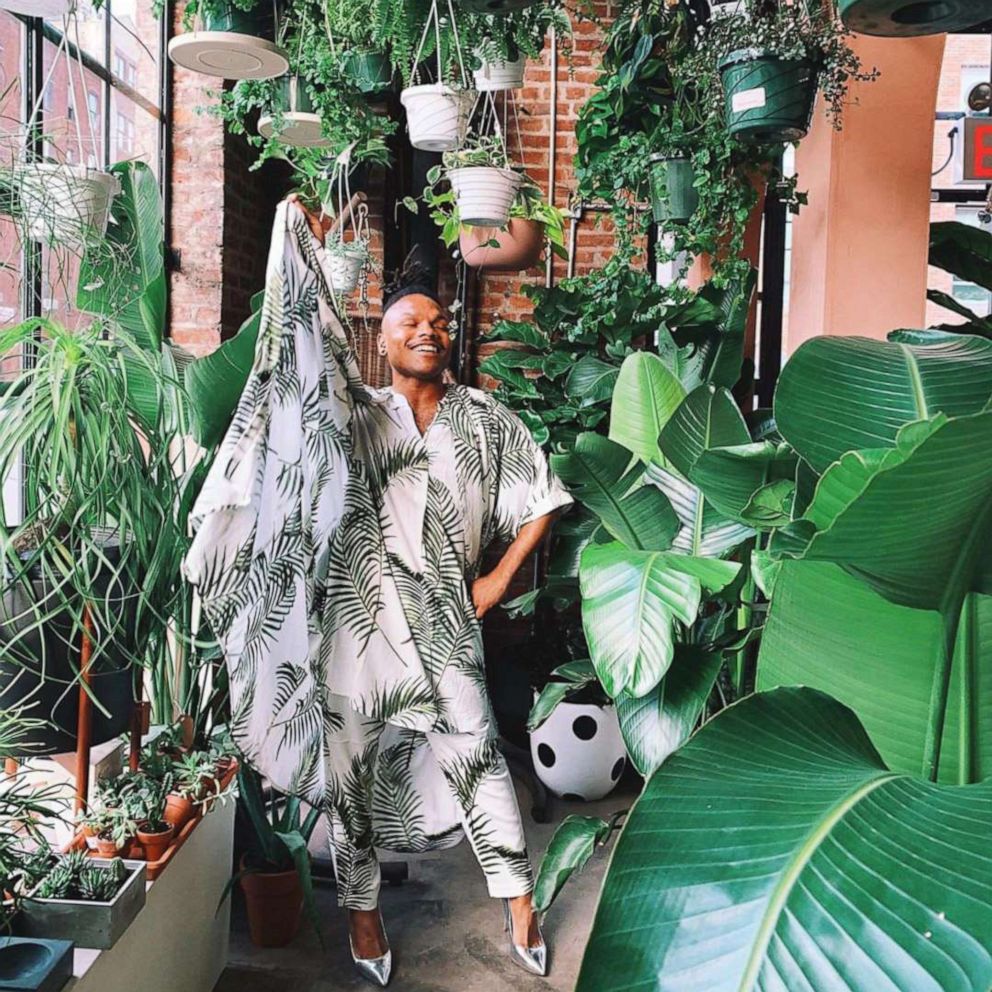 VIDEO: The three best beginner plants to try out, according to Instagram's 'plantkween' 