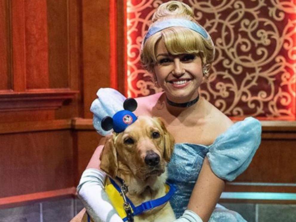 PHOTO: Ashley Wilt of Colorado, shared footage of Elijah, her service dog-in-training, onto Instagram as he met Cinderella at Disneyland.