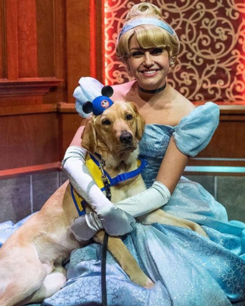 PHOTO: Ashley Wilt of Colorado, shared footage of Elijah, her service dog-in-training, onto Instagram as he met Cinderella at Disneyland. 