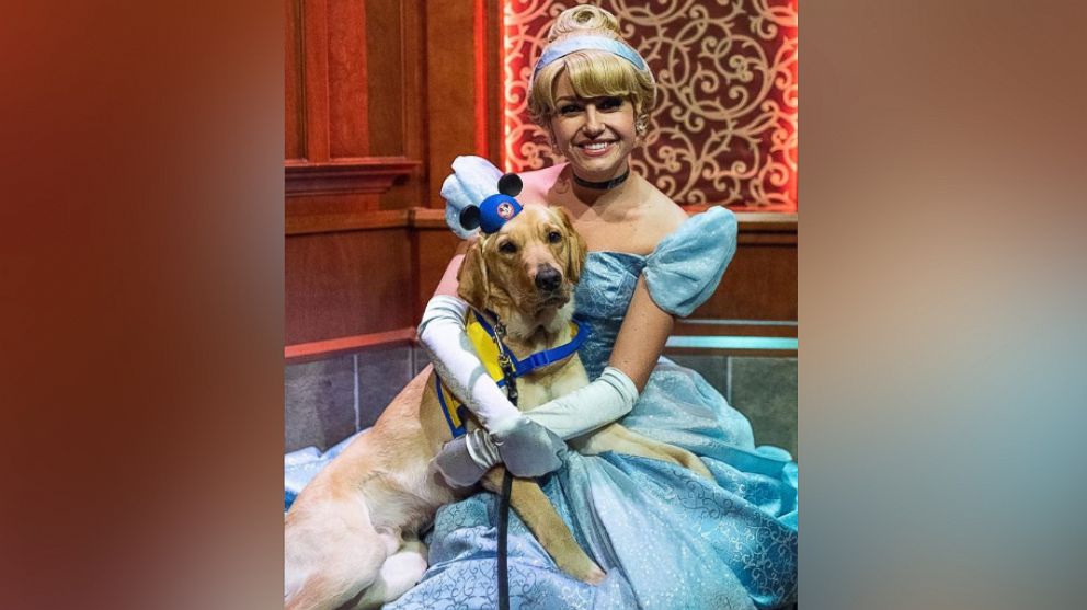 PHOTO: Ashley Wilt of Colorado, shared footage of Elijah, her service dog-in-training, onto Instagram as he met Cinderella at Disneyland. 