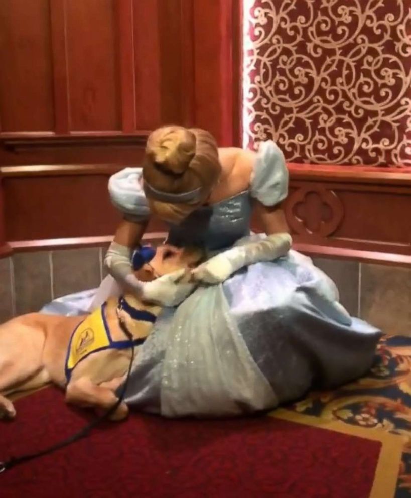 PHOTO: Elijah, a 1-year-old pup, was thrilled when he got the opportunity to meet Cinderella at Royal Hall at Disneyland in Anaheim, California.