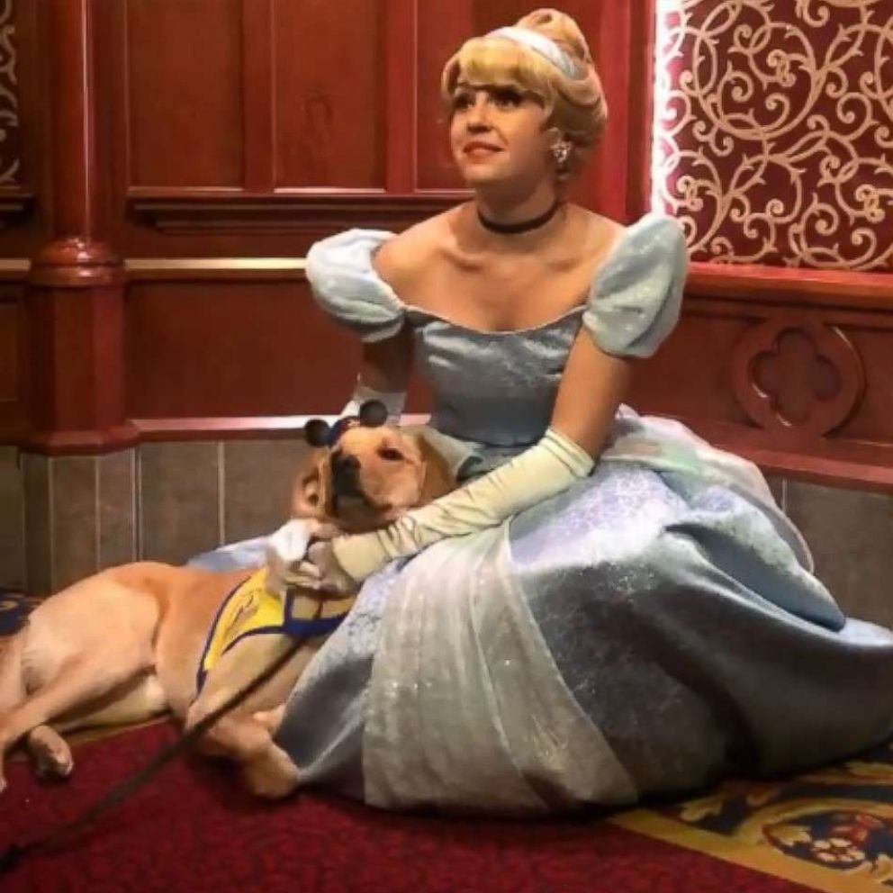 VIDEO: Service dog cuddles with Cinderella at Disneyland in adorable video