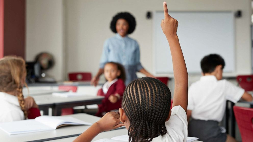 PHOTO: A child raises their hand during class in this stock photo. 
