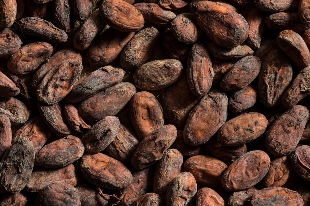 PHOTO: Cocoa beans are seen in an undated stock photo.