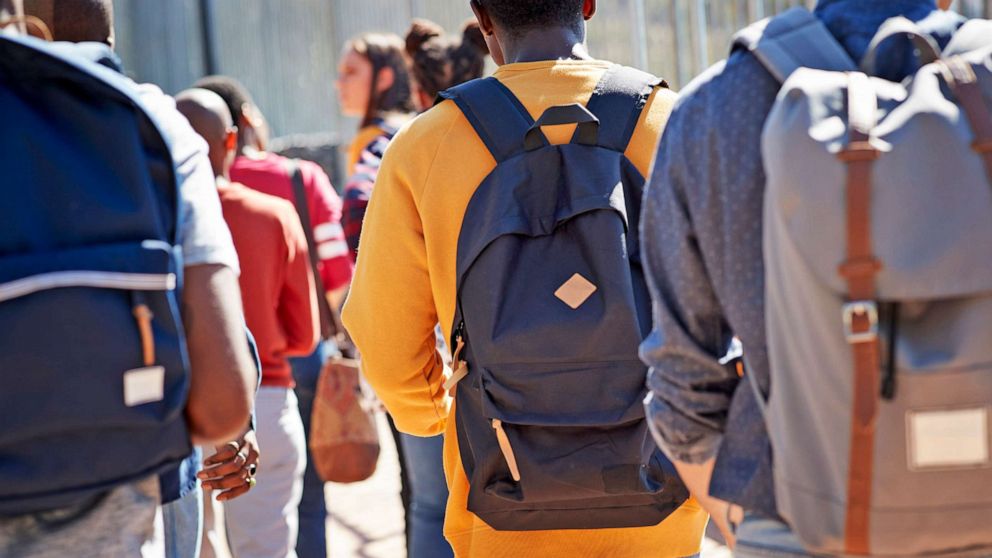 PHOTO: A group of college students walk on their university campus in a stock image.