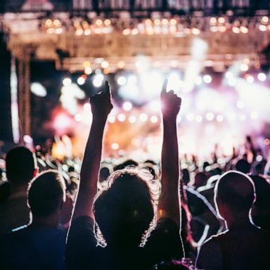 PHOTO: Stock photo of a concert.