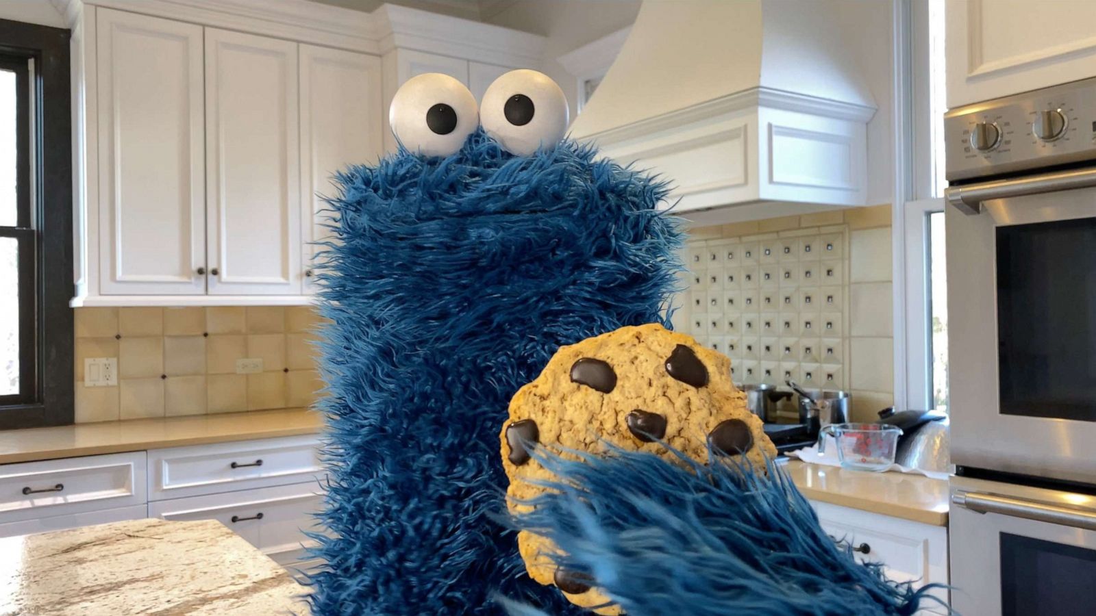 PHOTO: Cookie Monster joins "Good Morning America" to get in the sweet holiday spirit.