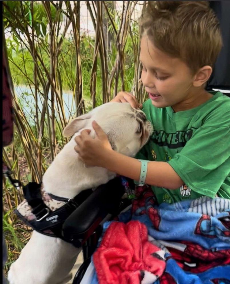 PHOTO: Cooper Roberts, who was paralyzed in the July 4th parade attack in Highland Park, Illinois, was reunited for the first time since the shooting with his dog, George.