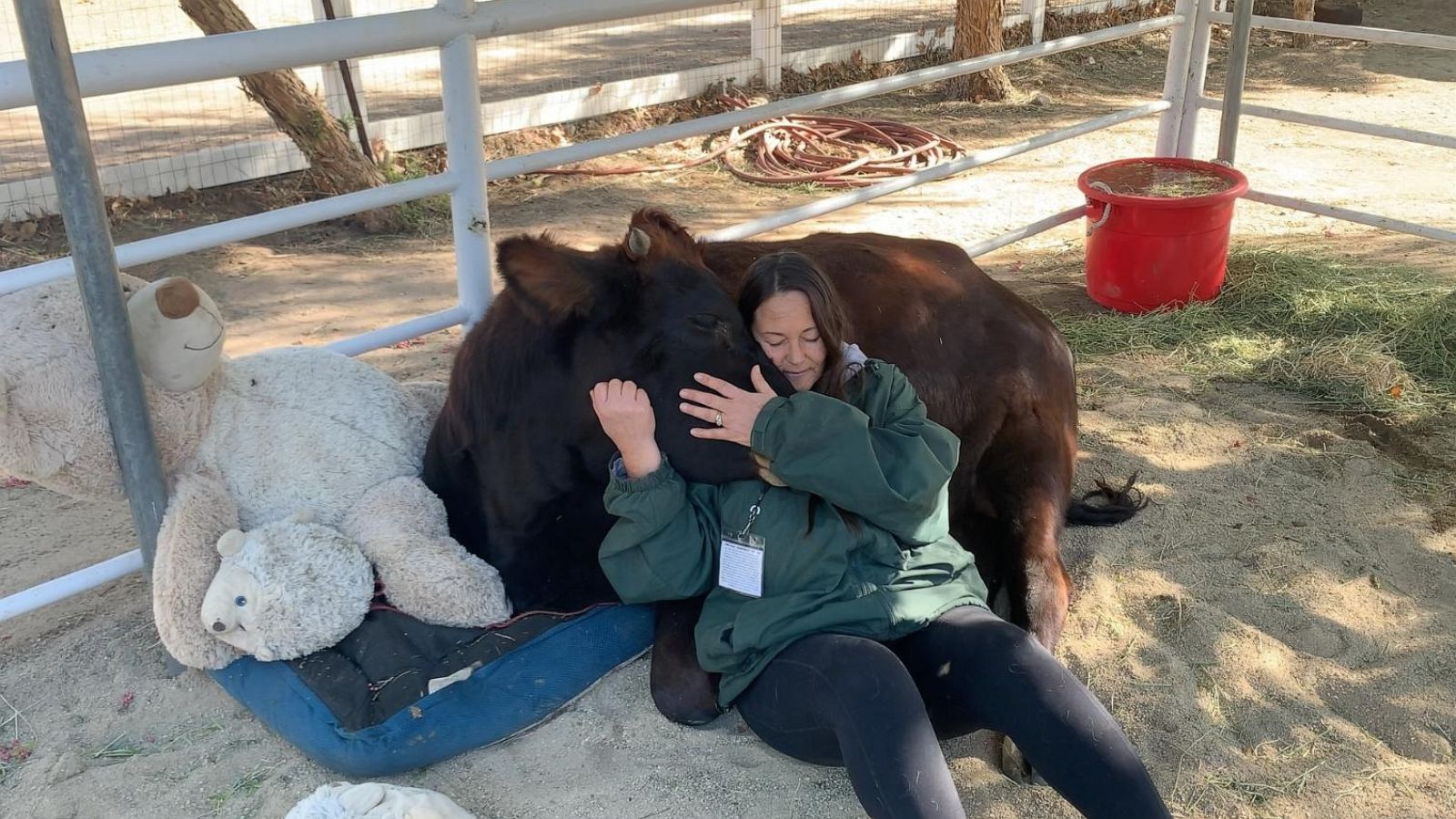 PHOTO: The Gentle Barn is a national non-profit animal rescue and sanctuary.