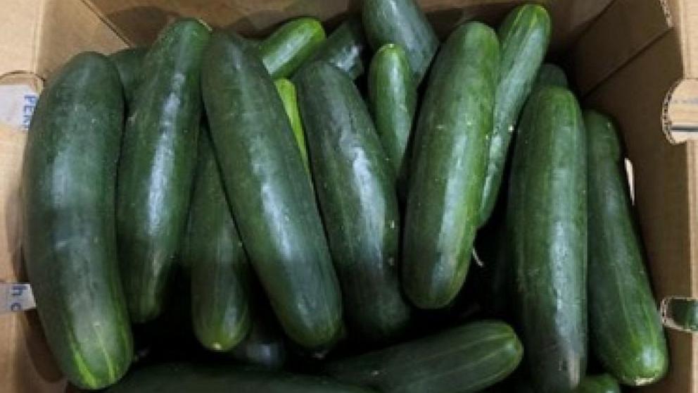 PHOTO: Fresh Start Produce Sales Inc. recalled whole cucumbers shipped to 14 states due to the potential to be contaminated with Salmonella.