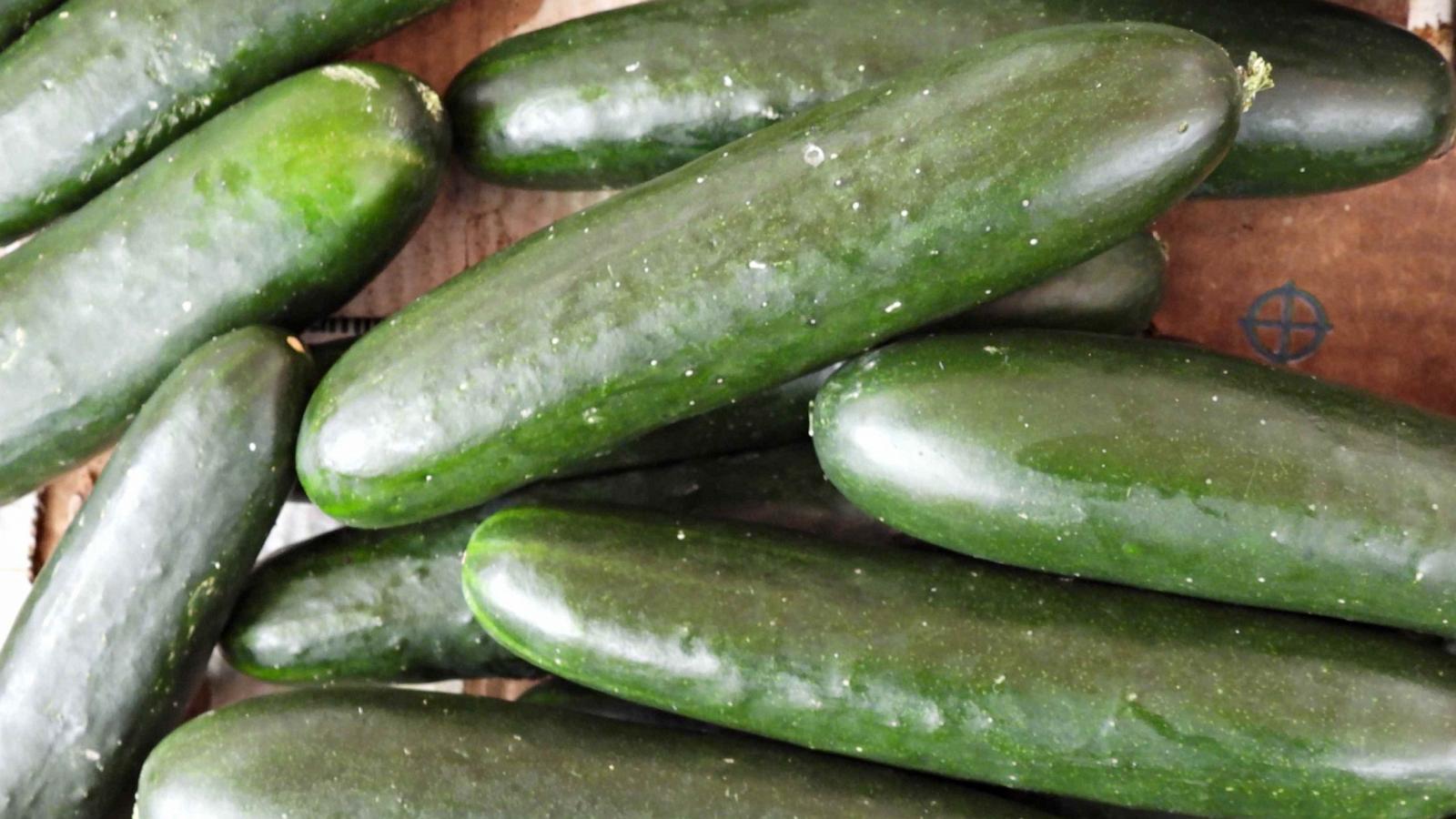 PHOTO: Cucumbers are seen in this undated stock photo.