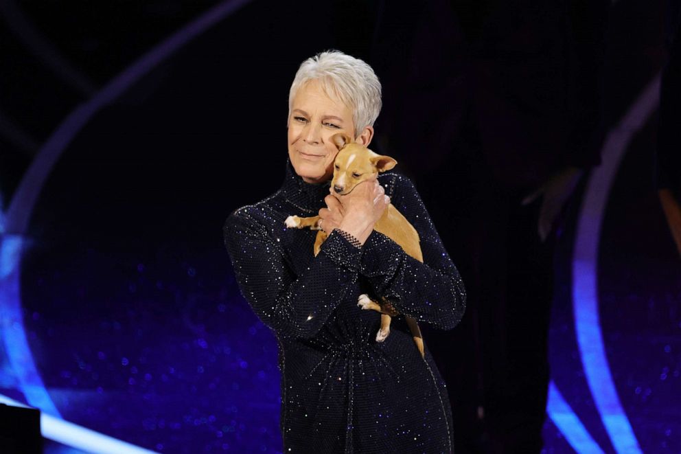 PHOTO: Jamie Lee Curtis speaks onstage during the 94th Annual Academy Awards at Dolby Theatre, March 27, 2022, in Hollywood, Calif.