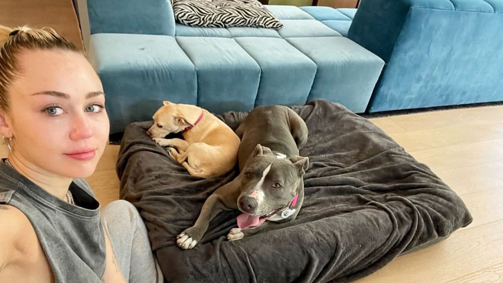 PHOTO: Miley Cyrus posted to her Instagram account this photo of her newly adopted pit bull.