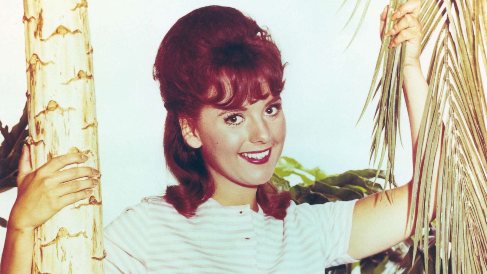 PHOTO: Dawn Wells is shown in this undated file photo.