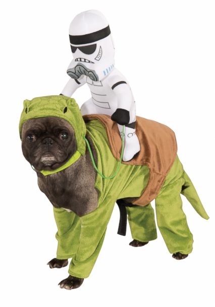 dog stormtrooper outfit