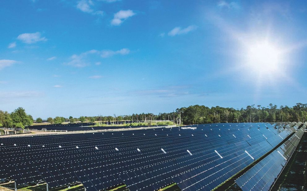 PHOTO: At its max performance, solar energy will be responsible for 25 percent of Walt Disney World's power needs.