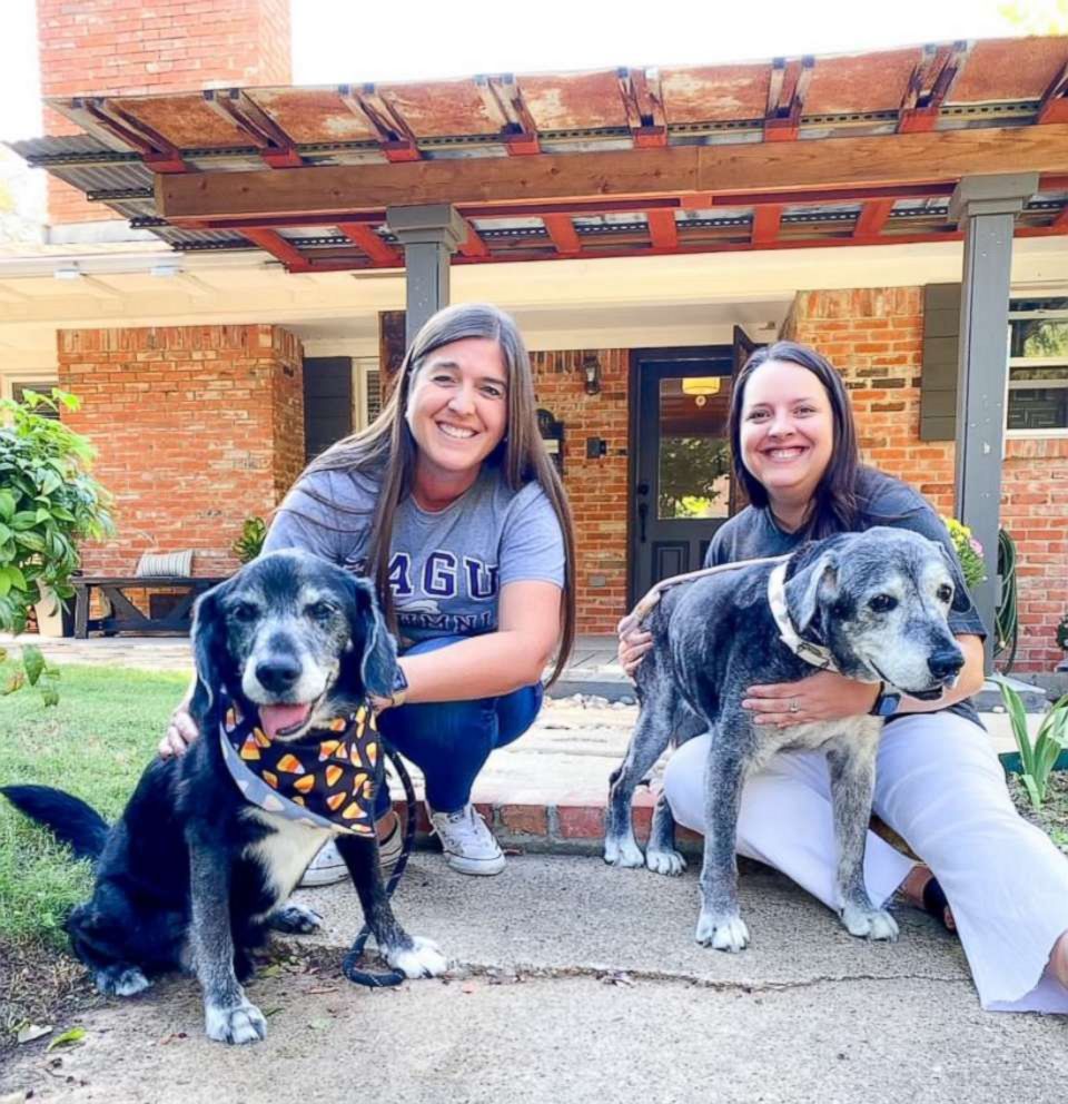 PHOTO: Best friends Lisa Flores and Lauren Siler, who are also roommates, decided to foster Annie, a 19-year-old dog, this past summer.