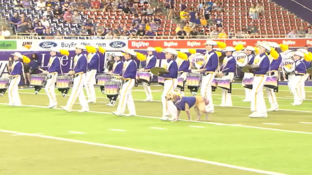 PHOTO: Winnie is University of Northern Iowa sophomore Gabi Riessen’s service dog. The two are in the Panthers marching band together.