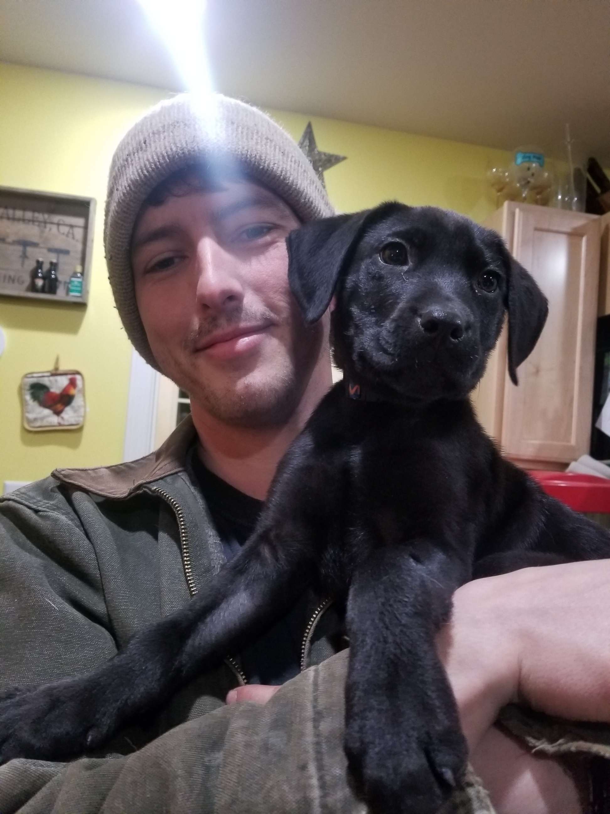 PHOTO: Nick Abbott, 31, of Maine, was born deaf and adopted a dog named Emerson, who is also deaf. 