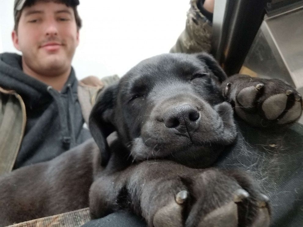 deaf-man-adopts-deaf-rescue-puppy-and-teaches-him-sign-language-good