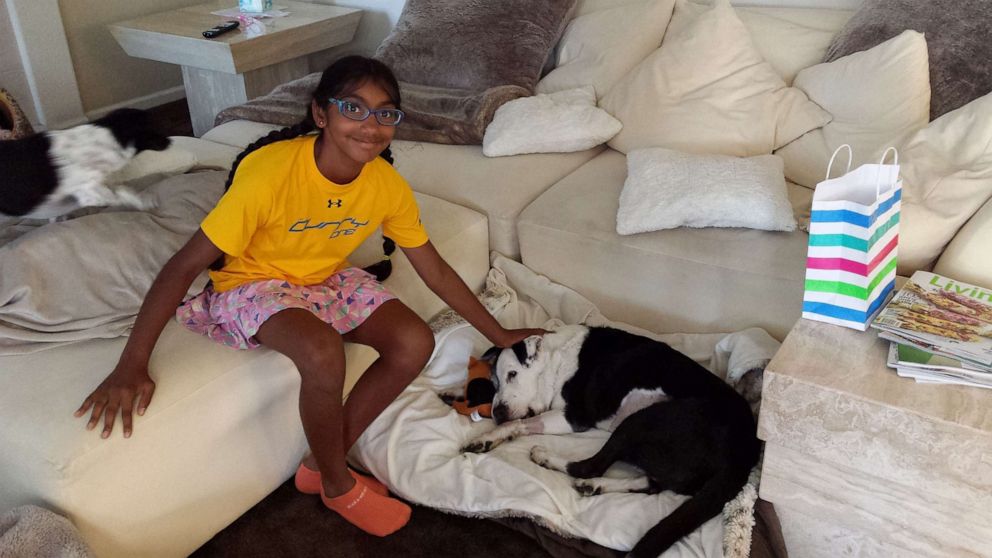 PHOTO: Meena Kumar, 14, has raised over $14,000 for Muttville Senior Dog Rescue in California.