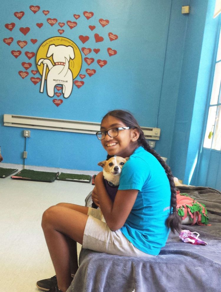 PHOTO: Meena Kumar, 14, has raised over $14,000 for Muttville Senior Dog Rescue in California.