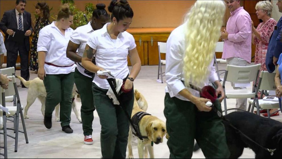 PHOTO: Puppy trainers from Puppies Behind Bars walking their dogs from the graduation ceremony at Bedford Hills Correctional Facility for Women. 