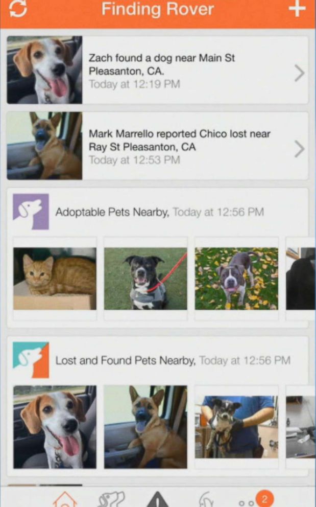 PHOTO: Through the app Finding Rover, pet owners upload a photo of their missing dog or cat and click "lost." 