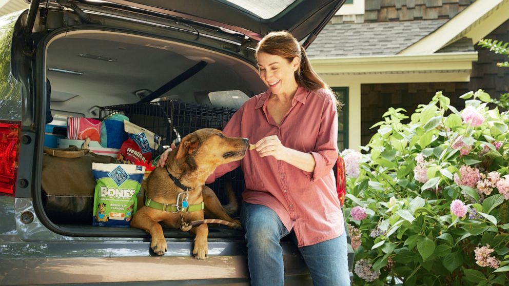 PHOTO: Chewy celebrates national dog day with a massive one day sale.