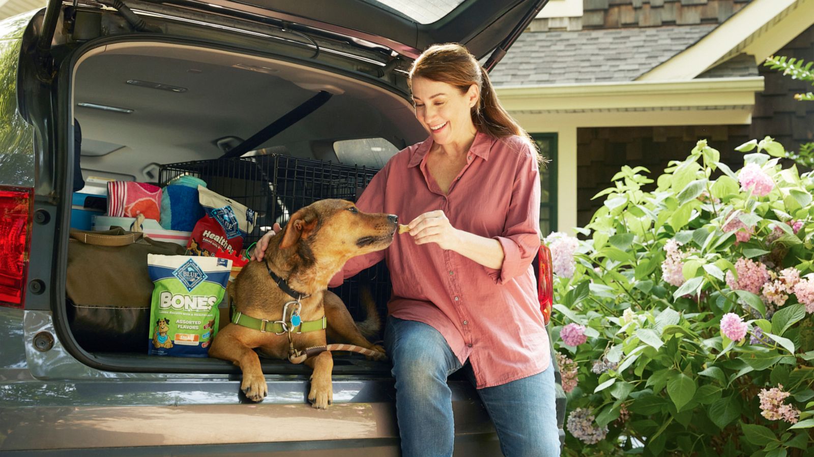 PHOTO: Chewy celebrates national dog day with a massive one day sale.