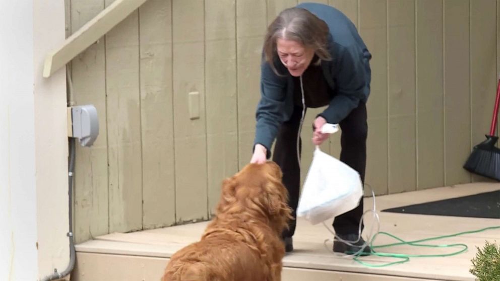 PHOTO: Karen Evelth's dog Sundance delivers groceries to neighbor Renee Hellman nearly everyday during the coronavirus pandemic.