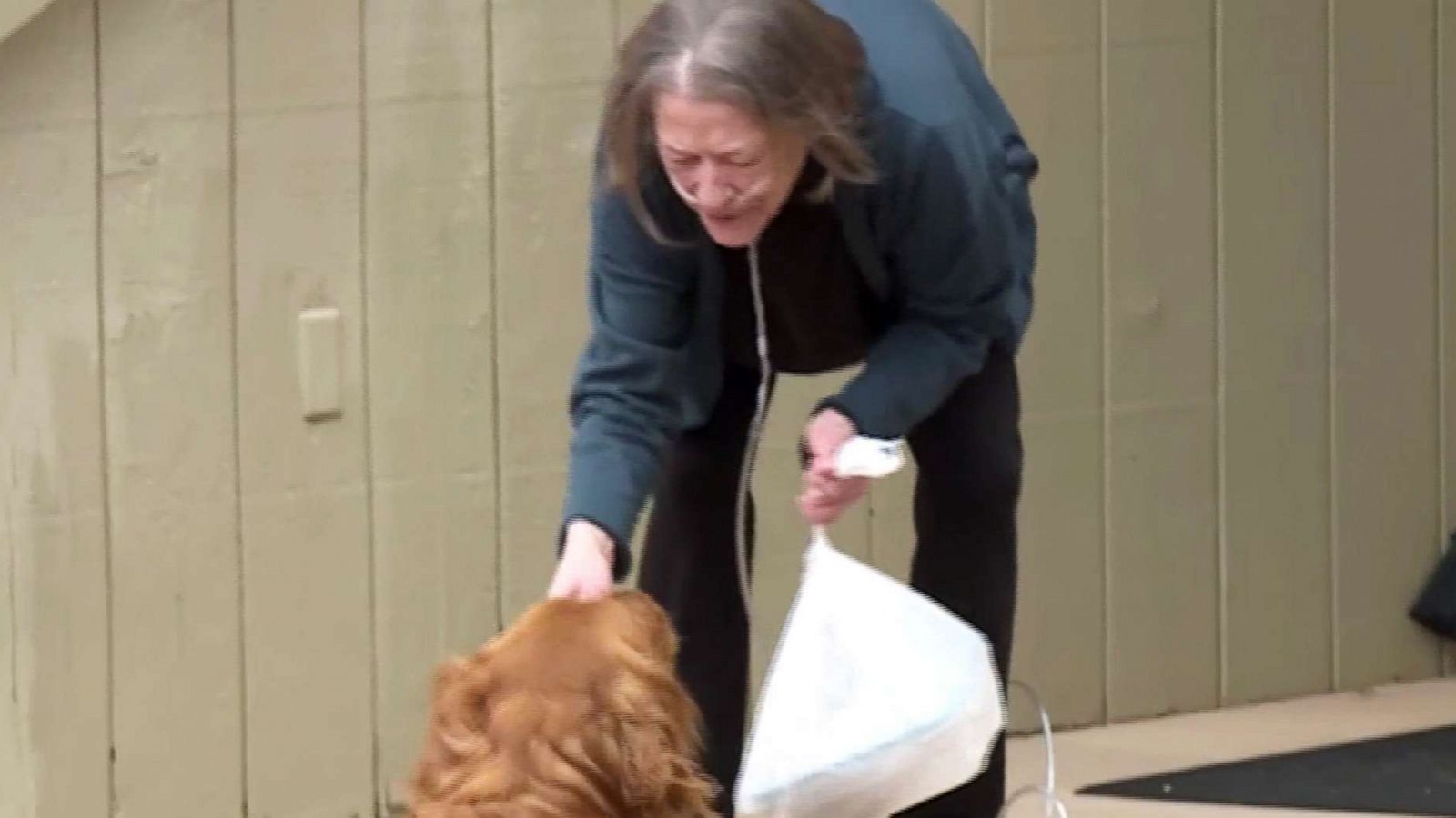 PHOTO: Karen Evelth's dog Sundance delivers groceries to neighbor Renee Hellman nearly everyday during the coronavirus pandemic.