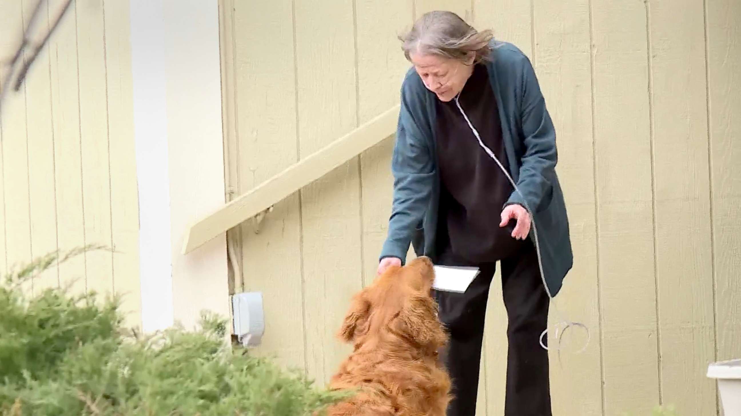 PHOTO: Karen Evelth's dog Sundance delivers groceries to neighbor Renee Hellman nearly everyday during the coronavirus pandemic.