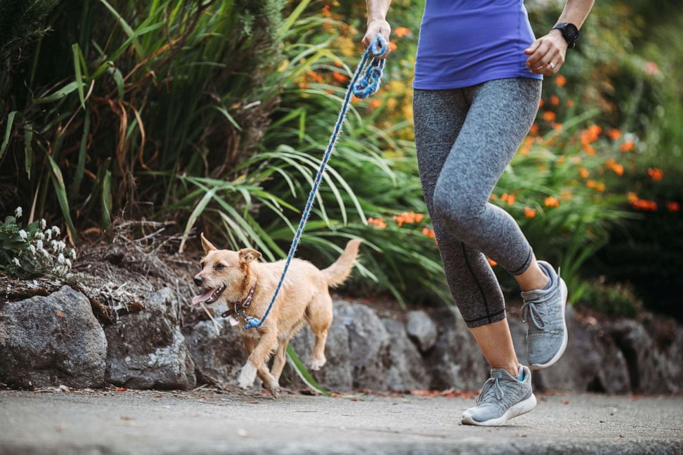 PHOTO: In this undated file photo, a women enjoys a morning run with her pet.