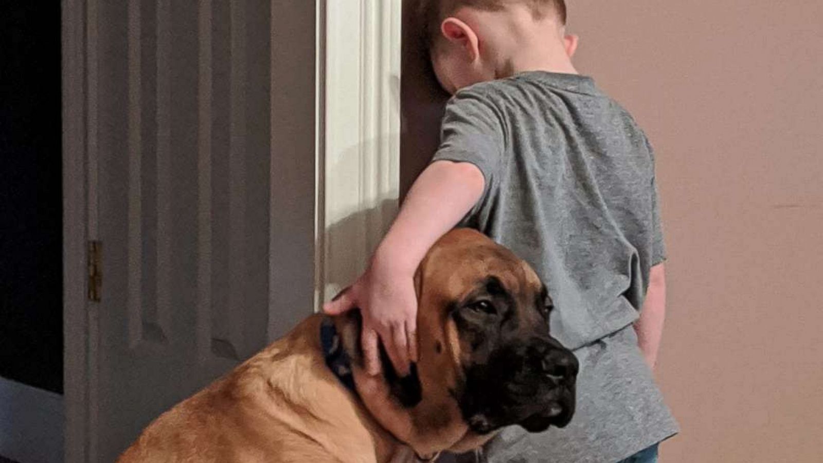 PHOTO: Jillian Smith of Norwalk, Ohio, shared the image last month of her son Peyton and their English Mastiff, Dash, onto Facebook where it''s been shared 43,000 times.