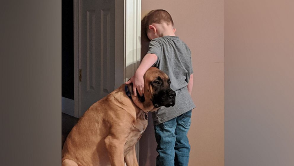 PHOTO: Jillian Smith of Norwalk, Ohio, shared the image last month of her son Peyton and their English Mastiff, Dash, onto Facebook where it''s been shared 43,000 times.