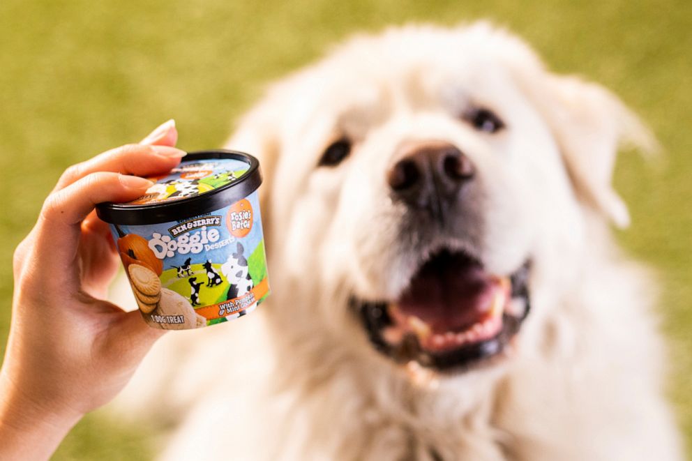 PHOTO: Ben & Jerry's introduced its first-ever line of frozen dog treats, which will be sold in 4-ounce cups, and hit U.S. groceries and pet stores later this month.