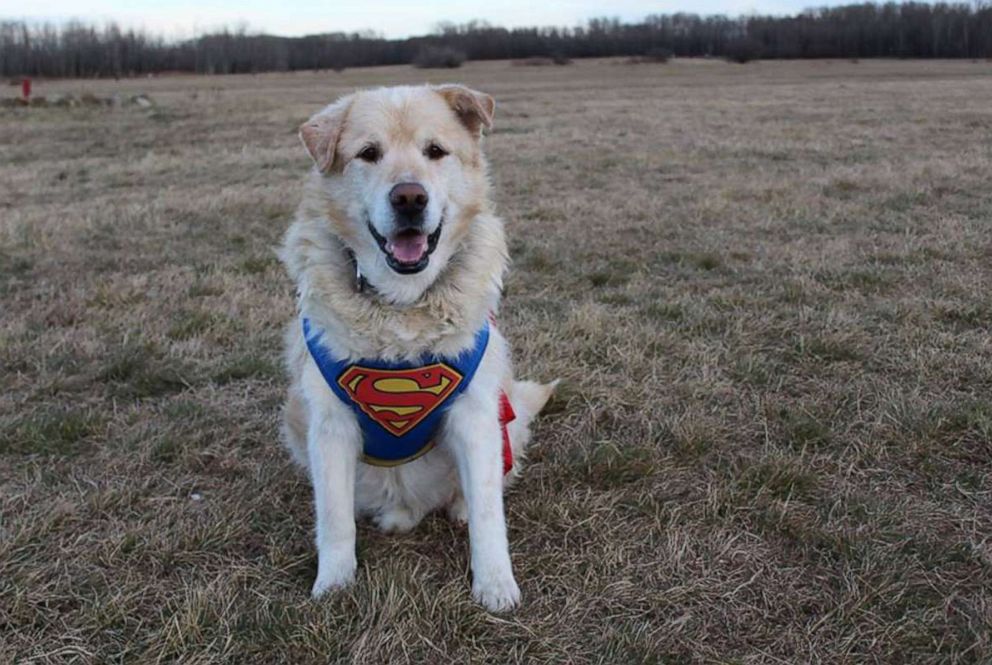 PHOTO: When Pam Heggie met Kai he weighed 173 pounds, and she helped him shed 100 pounds.